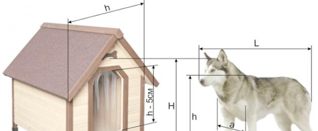 Как утеплить будку для собаки: требования к утеплению. Применение войлока, минеральной ваты, пенопласта, рулонных утеплителей