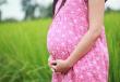 Третий триместр беременности: размер и вес плода, состояние беременной, необходимые анализы С какой недели 3 триместр беременности