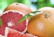 Цитрусовое дерево грейпфрут