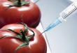 Что такое ГМО: Угроза здоровью или будущее планеты